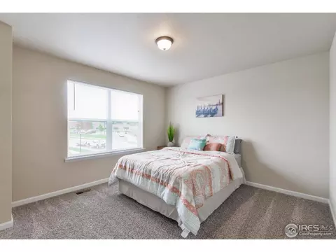701 Blue Jay Dr, Severance, CO 80550 photo 17