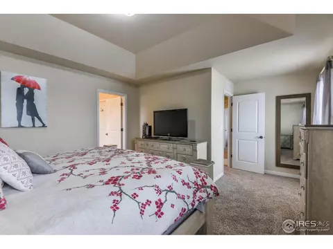 701 Blue Jay Dr, Severance, CO 80550 photo 14