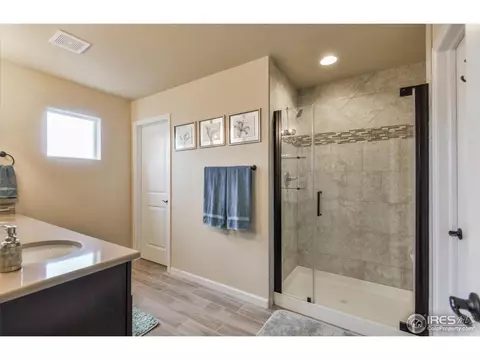 701 Blue Jay Dr, Severance, CO 80550 photo 16