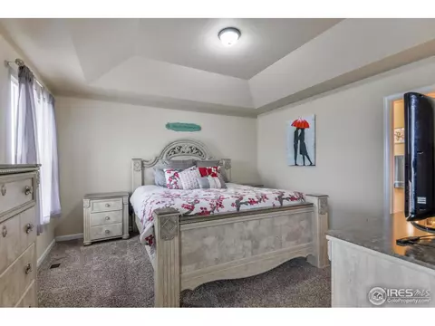 701 Blue Jay Dr, Severance, CO 80550 photo 13