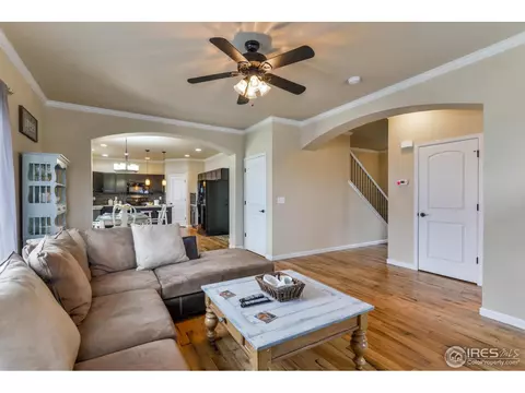 701 Blue Jay Dr, Severance, CO 80550 photo 3