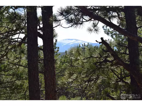 500 Bigbee High Rd, Ward, CO 80481 photo 4