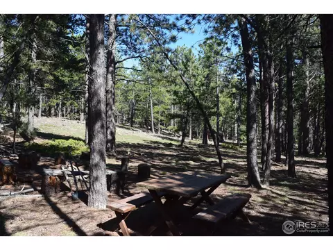 500 Bigbee High Rd, Ward, CO 80481 photo 13