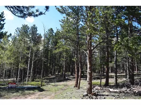 500 Bigbee High Rd, Ward, CO 80481 photo 5