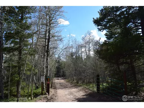 500 Bigbee High Rd, Ward, CO 80481 photo 22