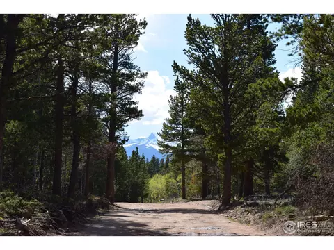 500 Bigbee High Rd, Ward, CO 80481 photo 25