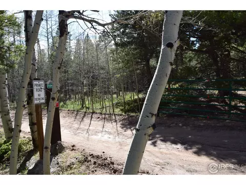 500 Bigbee High Rd, Ward, CO 80481 photo 23
