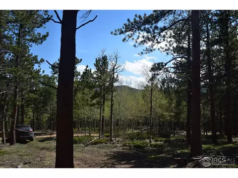 500 Bigbee High Rd, Ward, CO 80481 photo 3
