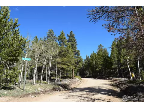 500 Bigbee High Rd, Ward, CO 80481 photo 21