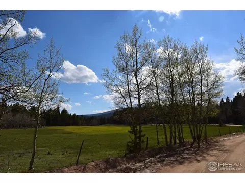 500 Bigbee High Rd, Ward, CO 80481 photo 18