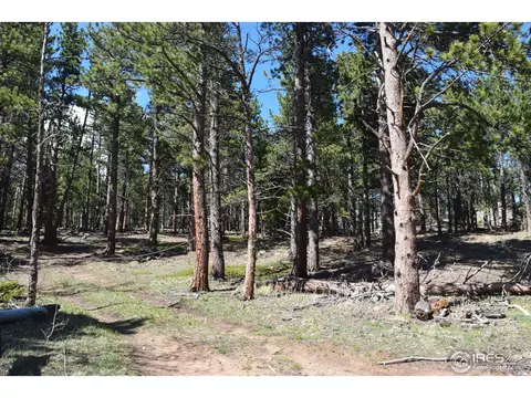 500 Bigbee High Rd, Ward, CO 80481 photo 6