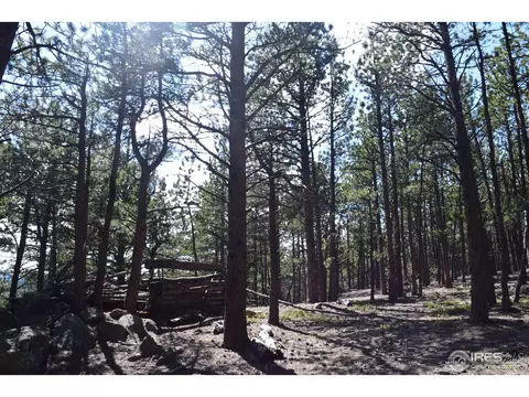 500 Bigbee High Rd, Ward, CO 80481 photo 15