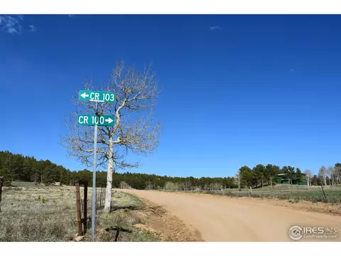 500 Bigbee High Rd, Ward, CO 80481 photo 17
