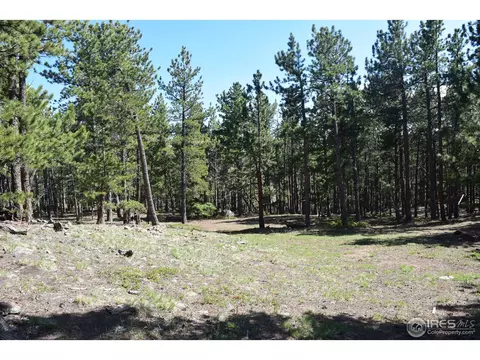500 Bigbee High Rd, Ward, CO 80481 photo 7