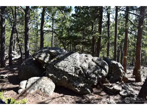 500 Bigbee High Rd, Ward, CO 80481 photo 14