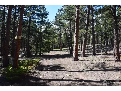 500 Bigbee High Rd, Ward, CO 80481 photo 11