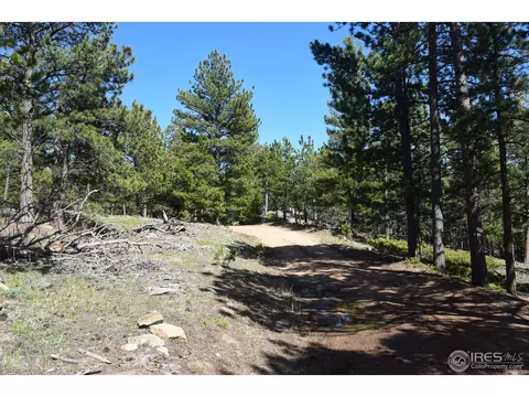 500 Bigbee High Rd, Ward, CO 80481 photo 8