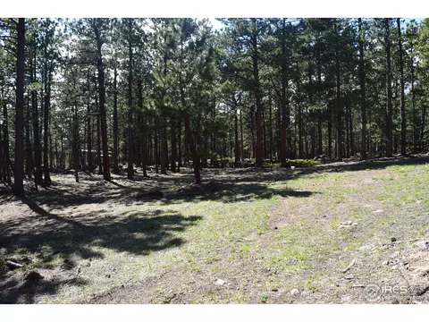 500 Bigbee High Rd, Ward, CO 80481 photo 12