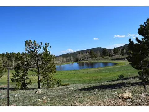 500 Bigbee High Rd, Ward, CO 80481 photo 19