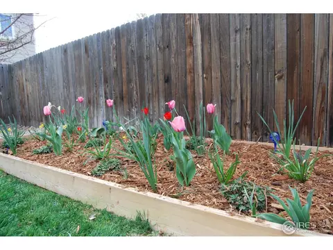 6640 E 129th Pl, Thornton, CO 80602 photo 29