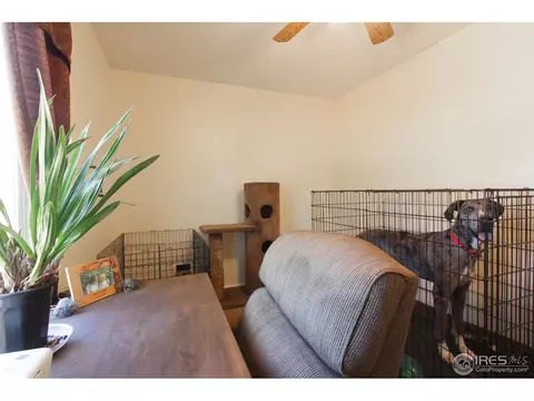 17752 Sunset Ln, Brighton, CO 80603 photo 14