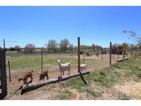 17752 Sunset Ln, Brighton, CO 80603 photo 18