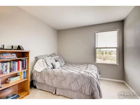 5247 Creek Way, Parker, CO 80134 photo 18