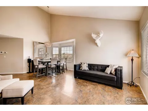 5247 Creek Way, Parker, CO 80134 photo 5