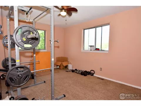 27 Walnut St, Windsor, CO 80550 photo 17