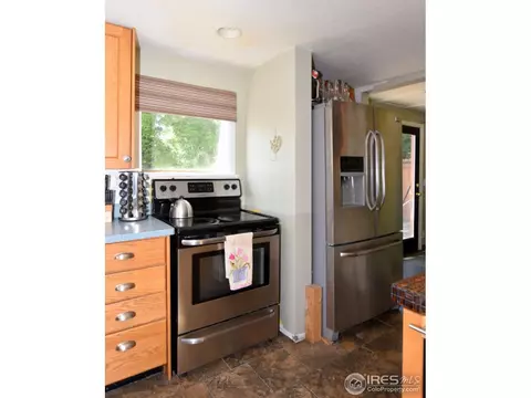 27 Walnut St, Windsor, CO 80550 photo 10