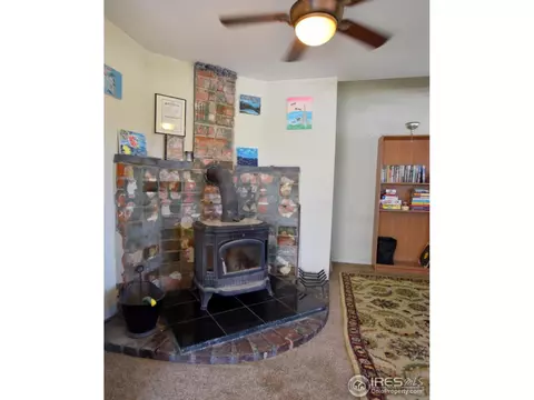 27 Walnut St, Windsor, CO 80550 photo 6