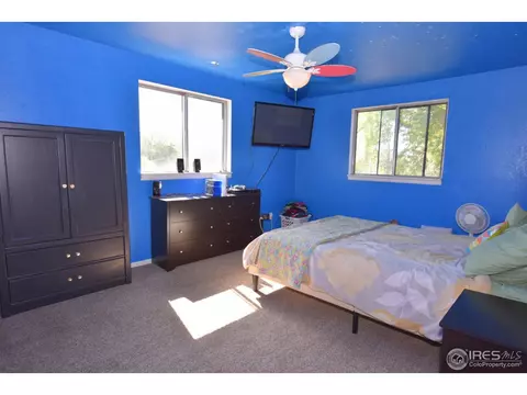 27 Walnut St, Windsor, CO 80550 photo 18