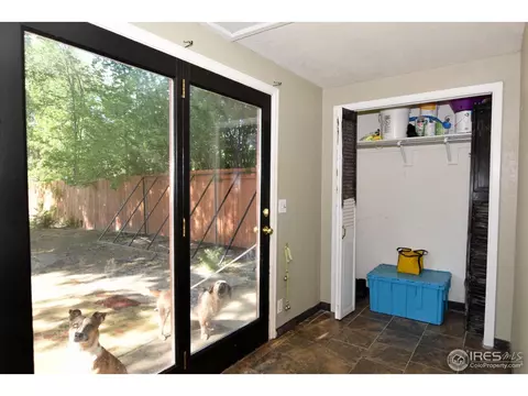 27 Walnut St, Windsor, CO 80550 photo 19