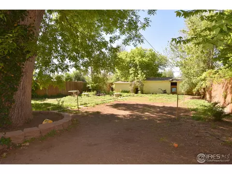 27 Walnut St, Windsor, CO 80550 photo 21