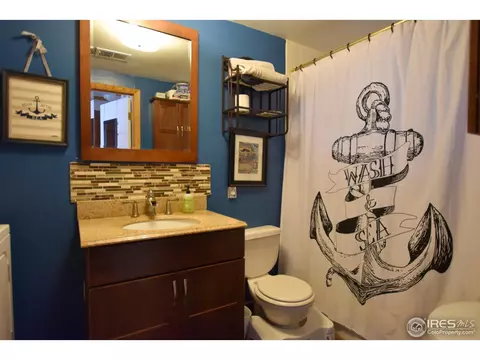 27 Walnut St, Windsor, CO 80550 photo 14