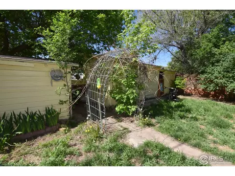 27 Walnut St, Windsor, CO 80550 photo 25