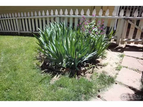 1063 Poplar Ave, Boulder, CO 80304 photo 4