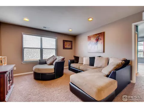 3342 E 143rd Dr, Thornton, CO 80602 photo 21