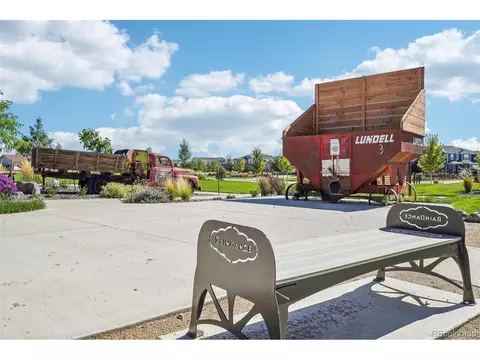 2166 Falling Leaf Dr, Windsor, CO 80550 photo 48