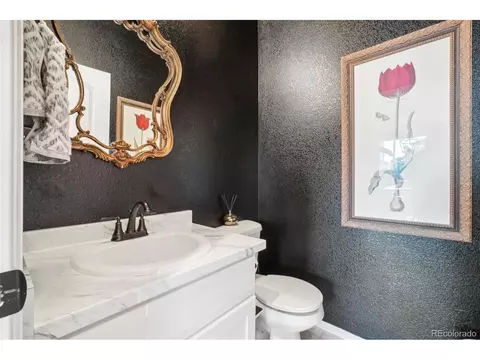 2166 Falling Leaf Dr, Windsor, CO 80550 photo 13