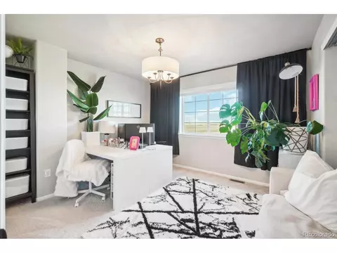 2166 Falling Leaf Dr, Windsor, CO 80550 photo 18