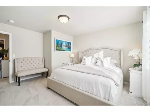 2166 Falling Leaf Dr, Windsor, CO 80550 photo 23