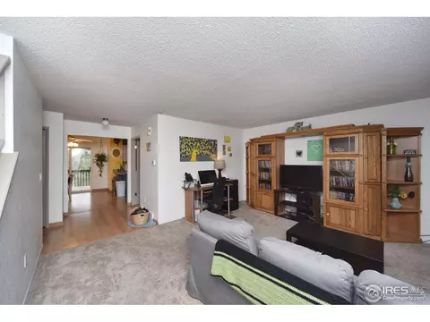 2155 E 103rd Pl, Thornton, CO 80229 photo 7