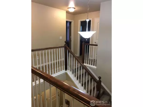 9141 Harlequin Cir, Frederick, CO 80504 photo 15