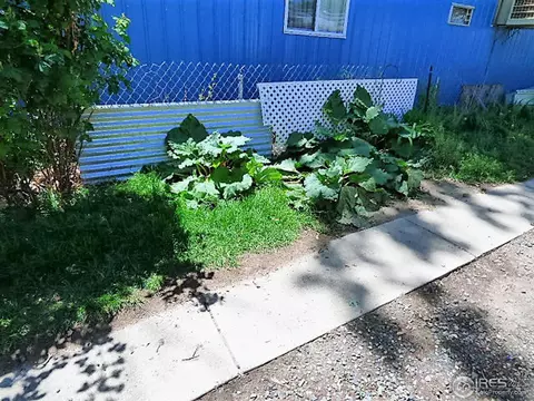 121 Wooster Dr, Firestone, CO 80520 photo 9