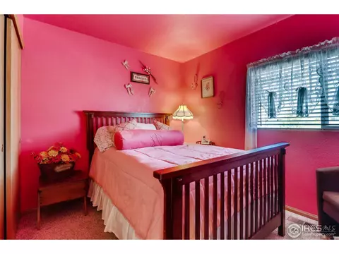 11070 Gaylord St, Northglenn, CO 80233 photo 14