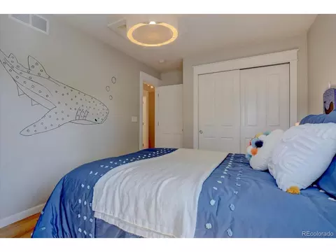 8704 E 29th Pl, Denver, CO 80238 photo 24