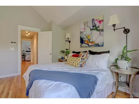 8704 E 29th Pl, Denver, CO 80238 photo 19