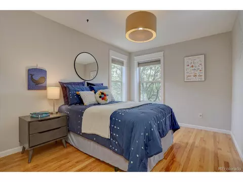 8704 E 29th Pl, Denver, CO 80238 photo 23