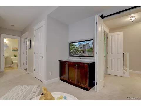 8704 E 29th Pl, Denver, CO 80238 photo 30